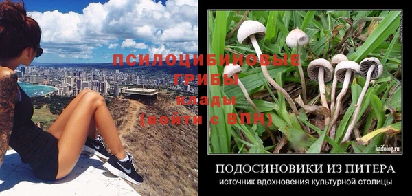 каннабис Абаза