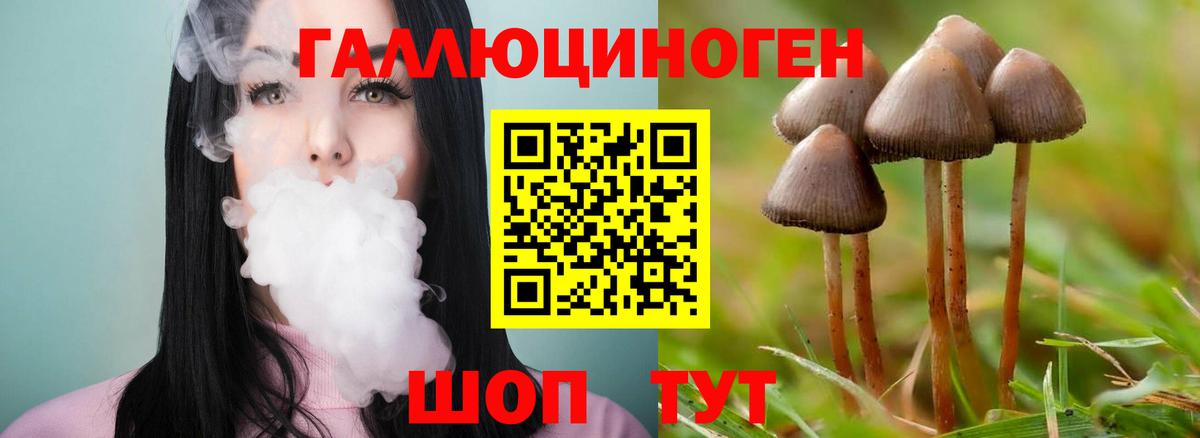 Псилоцибиновые грибы MAGIC MUSHROOMS Азнакаево