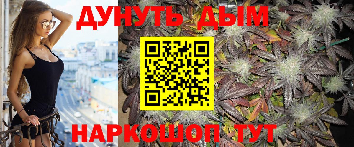 Азнакаево  Бошки марихуана Bruce Banner  Вход с VPN  Шишки марихуана тримм  Шишки марихуана SATIVA & INDICA 